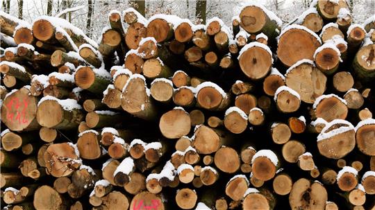 Der Hersteller von Holzbearbeitungsmaschinen Weinig leidet unter der Wirtschaftsflaute. (Foto Illustration)