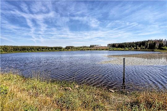 Der Hirschler Teich (Foto) sowie der Obere und der Große Kellerhalsteich liefern das Trinkwasser für den Oberharz.  Foto: Neuendorf
