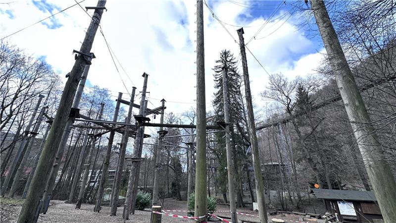 Investor stellt die Pläne für den neuen Harzburger Hof vor Der Hochseilgarten neben dem Baumwipfelpfad soll durch die Wipfelerlebniswelt ersetzt werden.
