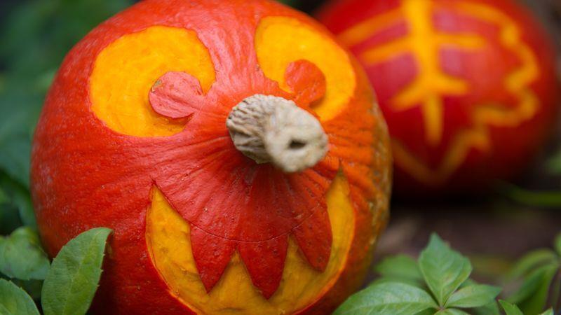 So einfach gelingt eine Herbst-Deko mit Kürbissen Der Hokkaido lässt sich vielseitig verzieren. Foto: Andrea Warnecke/dpa-tmn