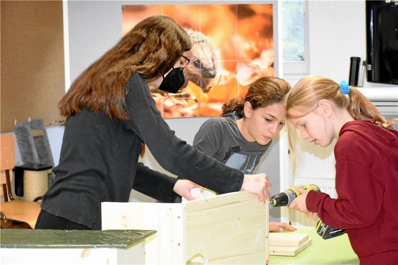 So helfen Sie dem Igel durch den Winter Der Igel vom Medizini-Poster guckt den Mädchen über die Schulter – sie bauen im Tierheim ein Igelhaus als Hilfe zum Überwintern für die ansonsten recht wehrhaften Tierchen zusammen. Foto: Kempfer