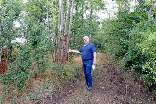 Der Jagdpächter Hans Hesse kritisiert die Aufnahme eines ehemaligen Holzrückeweges bei Heißum in das Wanderwegenetz des Naturerlebnispfads Liebenburg. Foto: Leifeld