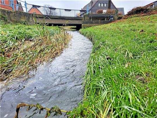 Der Jerstedter Dorfbach ist aktuell gut gefüllt. Bei Starkregen wird aus der Kanalisation Mischwasser in ihn abgeleitet. Foto: Roß