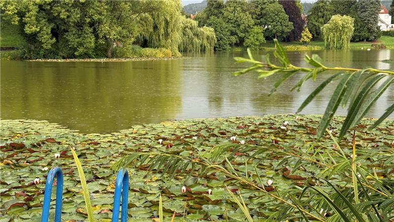 Der Juessee in Herzberg ist seit Monaten wegen einer hohen Blaualgen-Konzentration gesperrt.