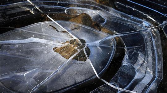 Der Junge kam stark unterkühlt ins Krankenhaus. (Symbolbild)