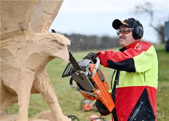 Der Kettensägen-Holzschnittkünstler Dieter Binder arbeitet an einer Skulptur in Form eines Adlers.