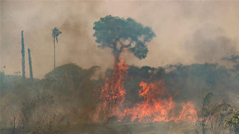Gesundheit zunehmend durch Klimawandel beeinträchtigt Der Klimawandel beeinträchtigt weltweit immer stärker die menschliche Gesundheit. (Archivbild)