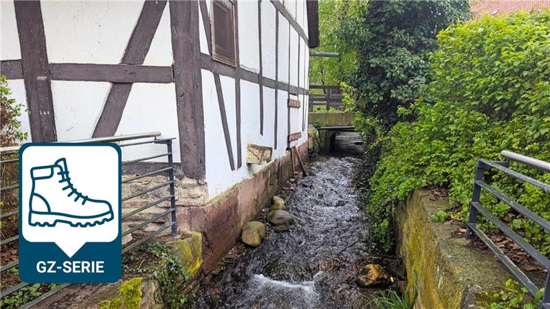 Ein Bach am Wöltigeröder Kloster, dem Ziel des Klosterwanderweges.
