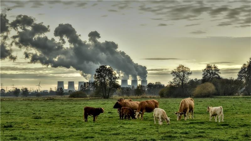 Langelsheimer Rat stimmt gegen Energiemanagement Der Kohlendioxidausstoß ist weltweit auf einem Rekordniveau. Neben globalen Aktionen gegen den Klimawandel sind jetzt auch regionale Initiativen gefragt. Foto: Pixabay