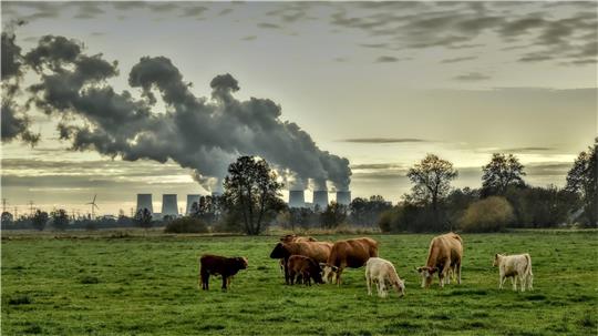 Der Kohlendioxidausstoß ist weltweit auf einem Rekordniveau. Neben globalen Aktionen gegen den Klimawandel sind jetzt auch regionale Initiativen gefragt. Foto: Pixabay