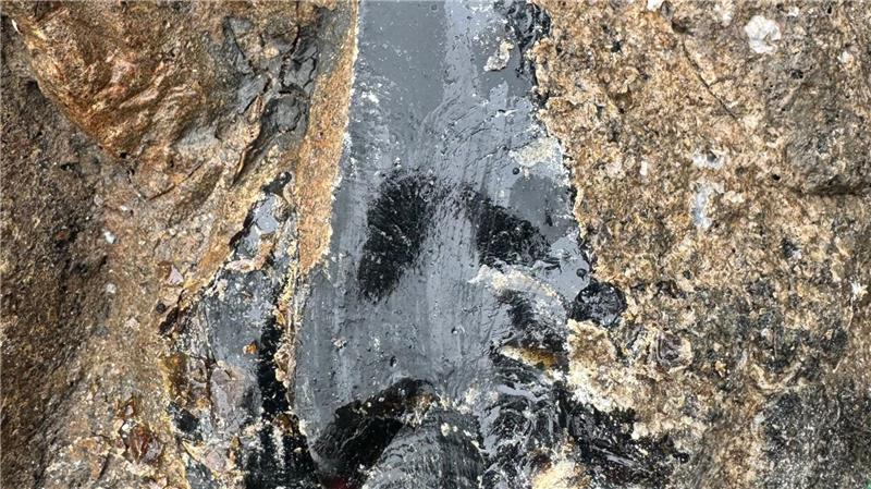 Der Krabbenfischer hofft nun, dass der Stein etwas mehr Geld wert ist.