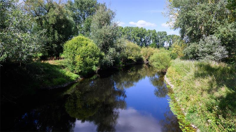 Der Landesbetrieb für Wasserwirtschaft mahnt zur Vorsicht beim Baden selbst in vermeintlich ungefährlichen, stillen Gewässern. (Archivbild)