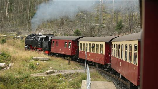 Der Landtag will über die Zukunft der Harzer Schmalspurbahnen diskutieren. (Archivbild)