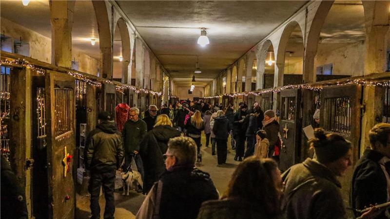 „Advent im Gestüt“: Besucher zufrieden – Veranstalter enttäuscht Der Lange Stall ist vom Kunsthof Vienenburg geschmückt und bestückt worden.