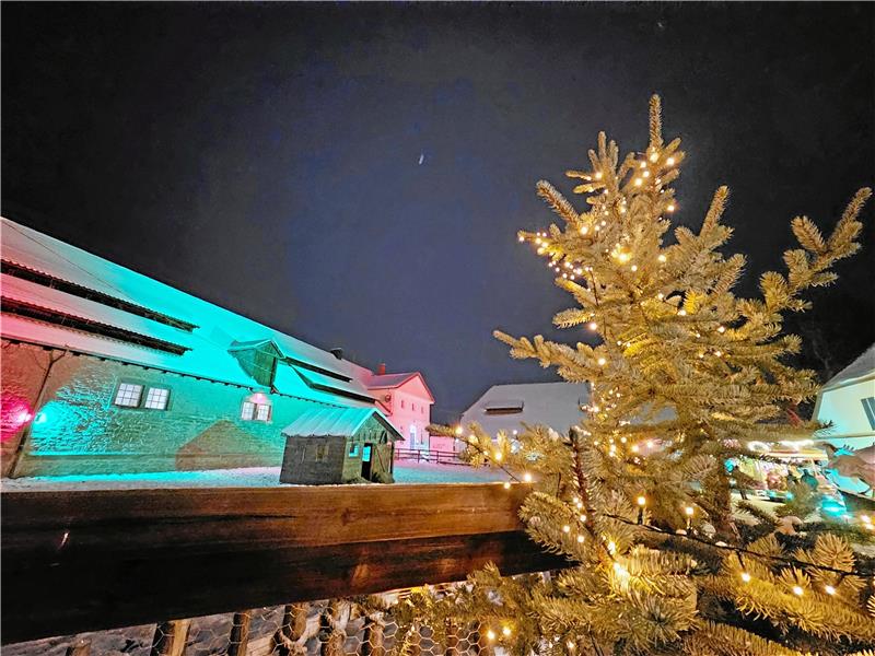 Der Lange Stall wird bei Dunkelheit angestrahlt. Foto: Potthast