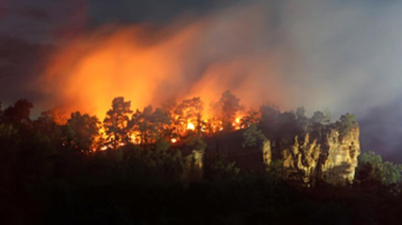 Der Lehof-Felsen in Quedlinburg steht in Flammen: Das Feuer bricht am Mittwochabend aus, am Donnerstag ist es gelöscht. Foto: dpa