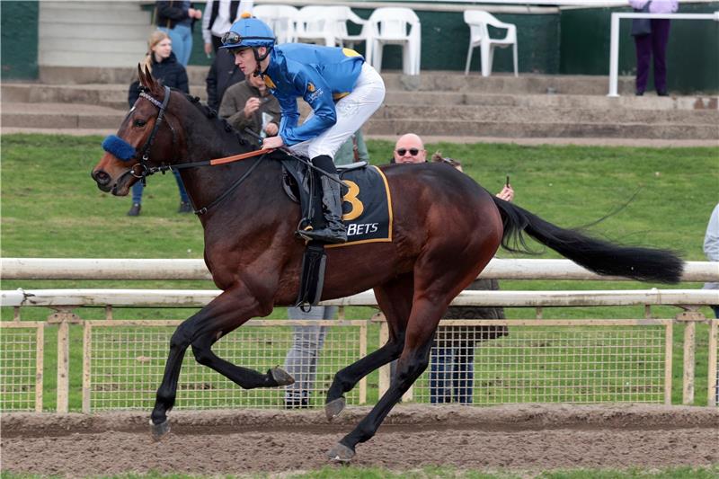 Vier Siege: Harzer Rennstallbesitzer „on fire“ Der Liberty-Racing-Hengst Palladium, hier unter Leon Wolff, ist weiter auf Derby-Kurs. Foto: Sorge