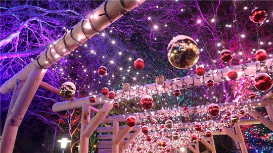 Bunte Weihnachtskugeln hängen an einer Holzkonstruktion unter einem beleuchteten Baum.