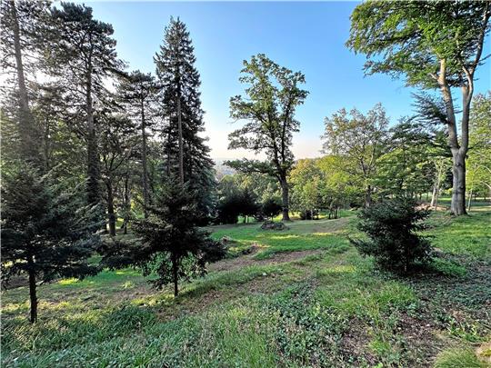 Der Lindenpark ist ein schönes Stückchen Erde. Er soll nun irgendwann bebaut werden. Foto: Schlegel