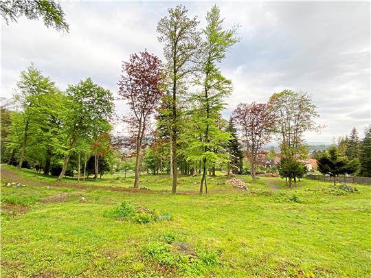 Der Lindenpark ist zwar Privatgrundstück; die dortigen Vorgänge allerdings schon länger von öffentlichem Interesse. Foto: GZ-Archiv