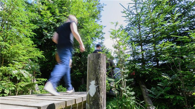 Der Magdeburger Weg ist Teil des Harzer Hexenstiegs. (Symbolbild) 