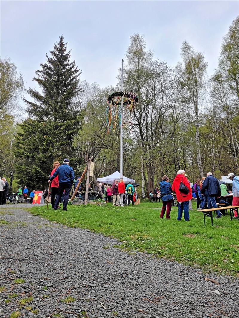 Maisingen am Molkenhaus: Widerstände stören Folklore nicht Der Maibaum am Molkenhaus gehört zum Maisingen fest dazu.