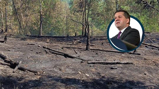 Ein verbrannter Waldboden ist zusehen.
