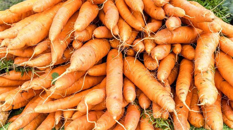Gegen Kurzsichtigkeit helfen weder Training noch Karotten Der Mythos kursiert, Möhren zu essen könne Kurzsichtigkeit heilen.
