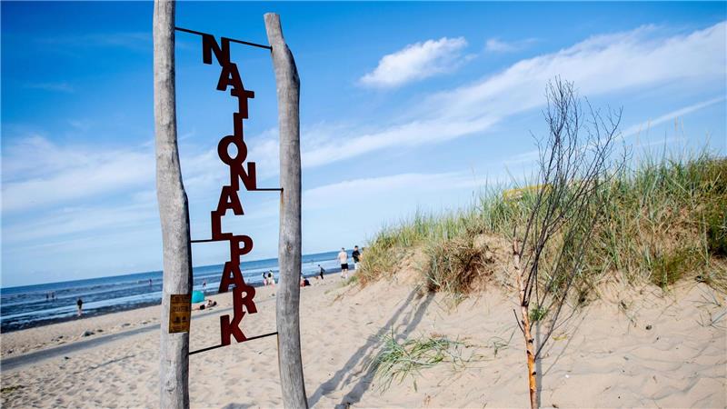 Schutzgebiet wird 40: Wie wirkt der Nationalpark Wattenmeer? Der Nationalpark Wattenmeer gilt als Aushängeschild Niedersachsens. (Archivbild)