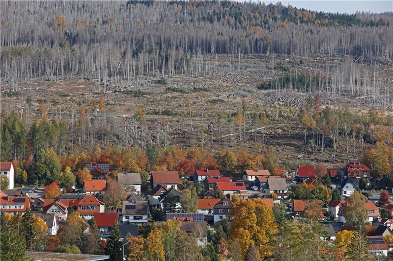 Gefährdeteste Nationalparks: Harz auf viertem Platz Der Nationalpark im Wandel. Foto: Bildnachweispicture alliance/dpa | Matthias Bein
