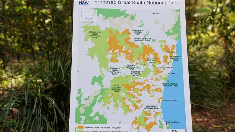 Australien schafft riesigen Nationalpark für Tausende Koalas Der Nationalpark wird einer der größten in Australien.