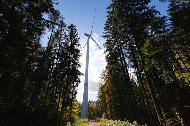 Gibt es bald Windräder in unseren Wäldern? Der Naturschutzbund (Nabu) in Niedersachsen kritisierte jüngst zum wiederholten Mal Windräder in Wäldern. Auch Bürgerinitiativen machen schon Druck gegen die neuen Windkraft-Pläne. Foto: Nicolas Armer, dpa/pa