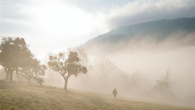 Der Nebel lichtet sich: Was macht Ihnen echte Freude?