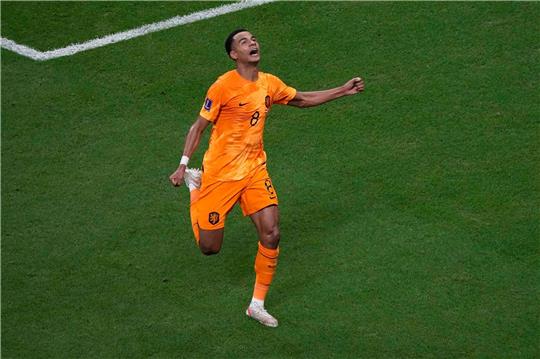 Der Niederländer Cody Gakpo feiert den Führungstreffer seiner Mannschaft gegen Katar.