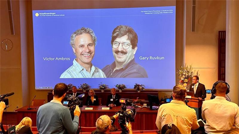 Medizin-Nobelpreis an Genregulations-Forscher Der Nobelpreis für Medizin geht in diesem Jahr Victor Ambros (li) und Gary Ruvkun für die Entdeckung der microRNA und ihrer Rolle bei der Genregulierung.