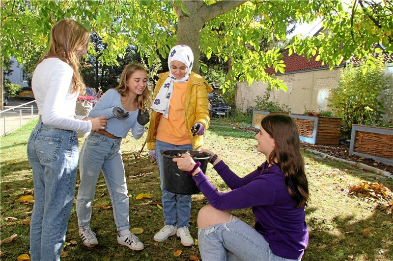 Der Nussbaum im Schulgarten wirft eine Menge ab: Emelie (11), Larissa (11), Jana (12) und Eveline (11) sammeln die Wallnüsse ein. Fotos: Fricke