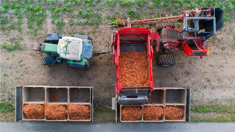 Der Öko-Anteil an der Agrarfläche wächst nur sehr langsam. (Archivbild)