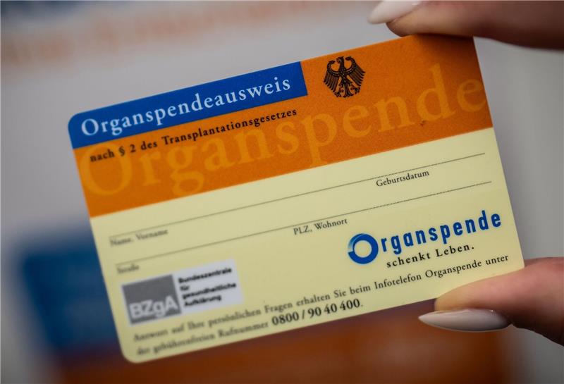 Der Organspendeausweis kann verloren gehen - nun gibt es eine Datenbank im Internet.