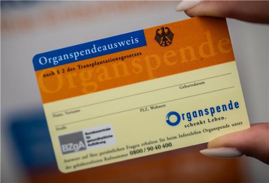 Der Organspendeausweis kann verloren gehen - nun gibt es eine Datenbank im Internet.