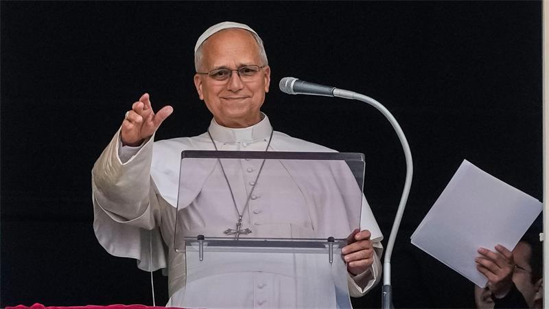 Der Papst ist nach seiner Krebs-OP zurück im Vatikan und sprach das sonntägliche Angelus-Gebet.