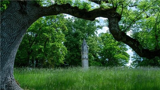 Der Park des Schlosses Rosenau bei Coburg in Bayern.