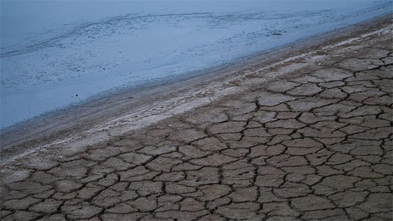Negative Pegelwerte - Rekordniedrigwasser des Rheins Der Pegelstand in Düsseldorf liegt unterhalb des Nullpunktes.