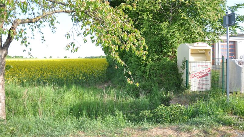 Goslarer Verwaltung stoppt Neubau-Pläne für die Kita Hahndorf Der Platz ist ausgeguckt: Der Neubau soll auf der anderen Straßenseite neben der Feuerwehr auf einem Feld entstehen.