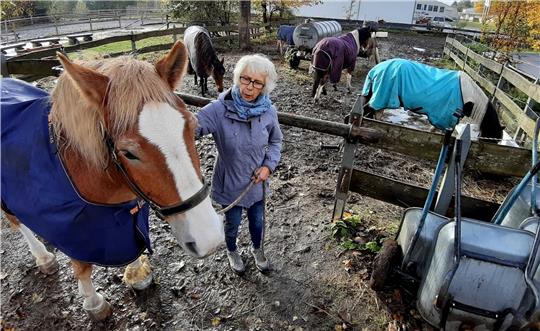 Der Ponyreiter-Musikzug in Clausthal-Zellerfeld benötigt Geld, um seinen Reitplatz im Sachsenweg zu sanieren.