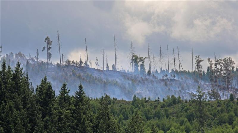 Der Rauch erschwert die Löscharbeiten.