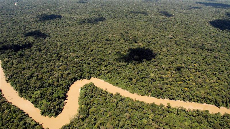 Der Regenwald in Ecuador ist schon lange bedroht. Doch es gibt Hoffnung.