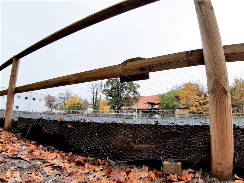 Clausthaler-Ponyreiter müssen ihre Außenanlage sanieren Der Reitplatz: Damit das Wasser nach länger anhaltendem Niederschlag nicht auf der Fläche steht, sind die Umrandungs-Bohlen aufgebockt. Was aber nach Meinung des Vorstandes nur ein Notbehelf ist. Foto: Potthast