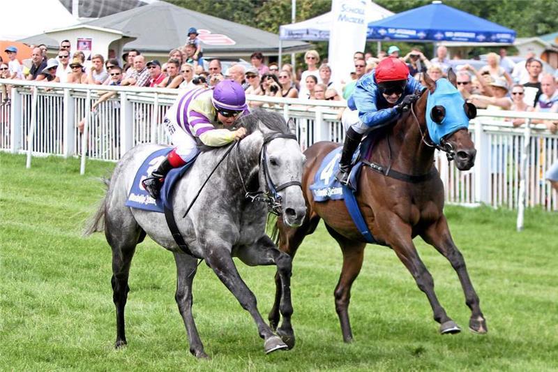 Der Schimmel Smoke Charger (li.) gewinnt unter Tamara Hofer in den Rennfarben der Familie Weidler.  Foto: Epping