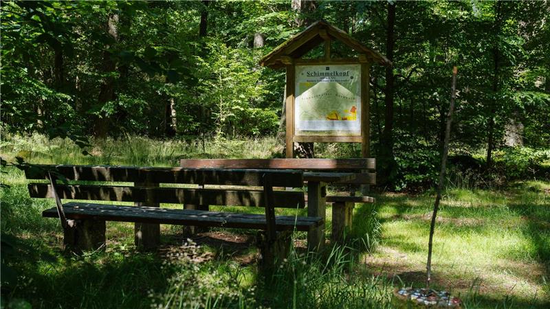 Der Schimmelkopf ist 694,8 Meter hoch, der Dollberg bei Nohfelden aber 695,4 Meter. Sechzig Zentimeter höher.