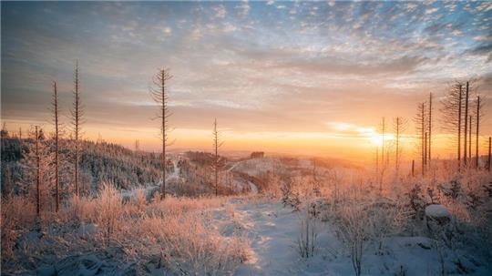 Der Schnee verleiht dem Harz eine malerische Winterkulisse.